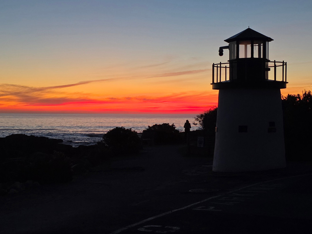 Pink Blossoms Resort主图