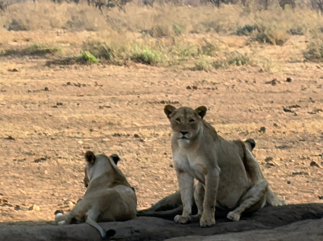 KPS Safaris & Tours-伐拉博瓦必去景点