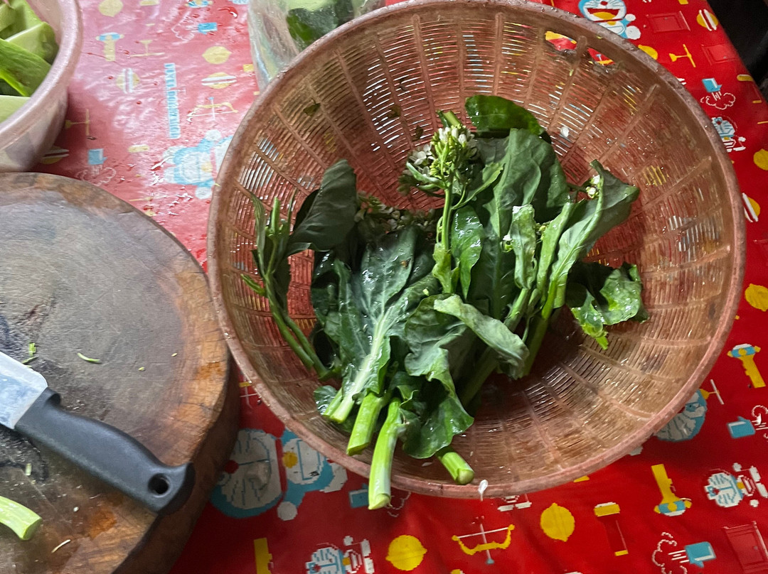 Half Day of Hmong Cultural Experience at Khunklang Doi Inthanon-宗通必去景点