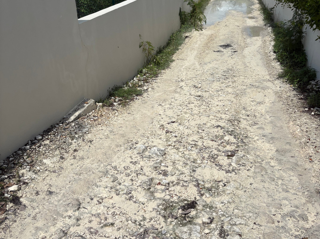 Taylor Bay Beach-普罗维登西亚莱斯必去景点