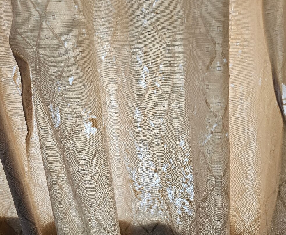 Wildwood Motel主图