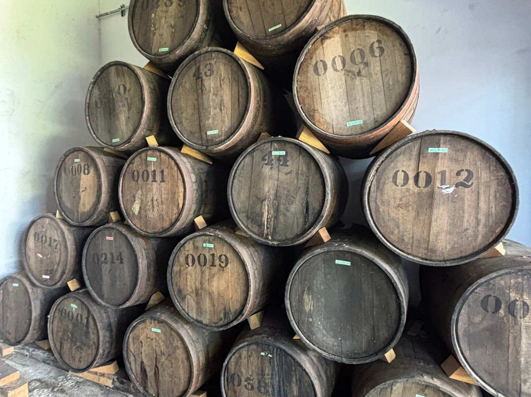 Forteleza-特基拉必去景点