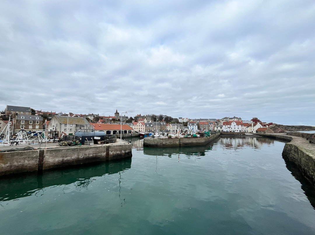 Pittenweem Harbour-Pittenweem必去景点