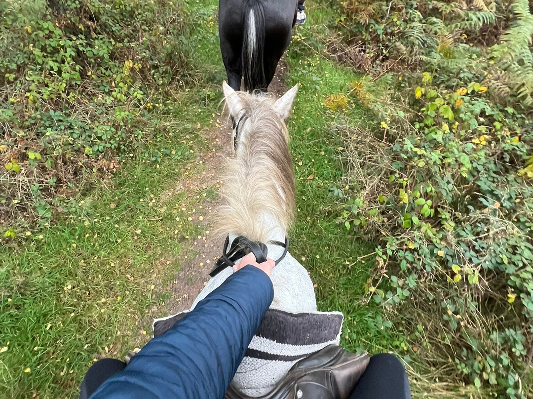 Cannock Chase Trekking Centre-Penkridge必去景点