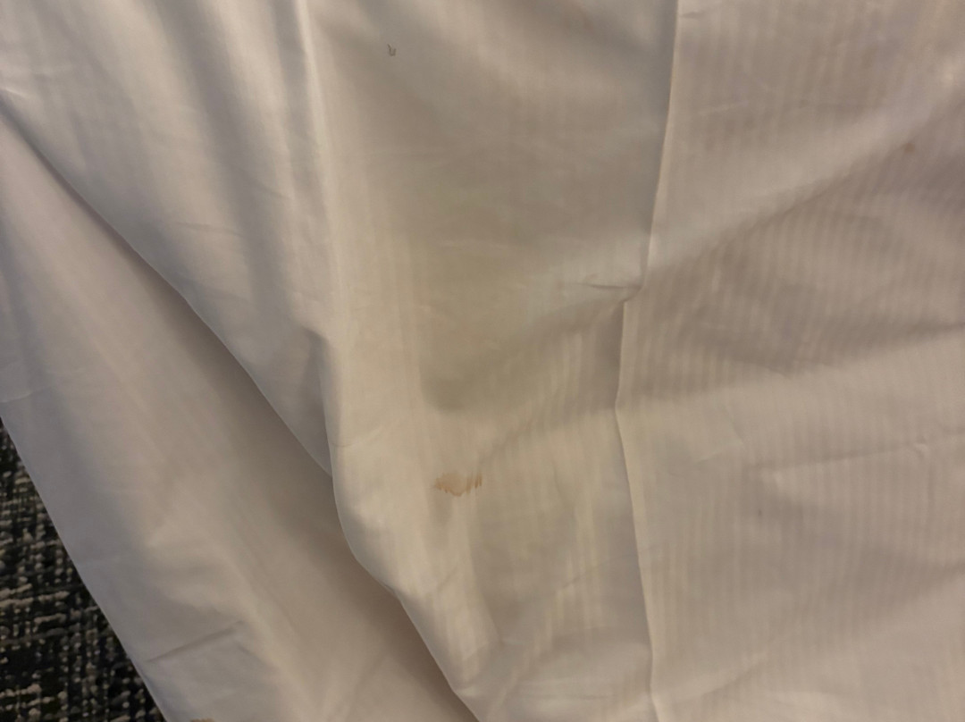 the Alloy King of Prussia - a DoubleTree by Hilton主图