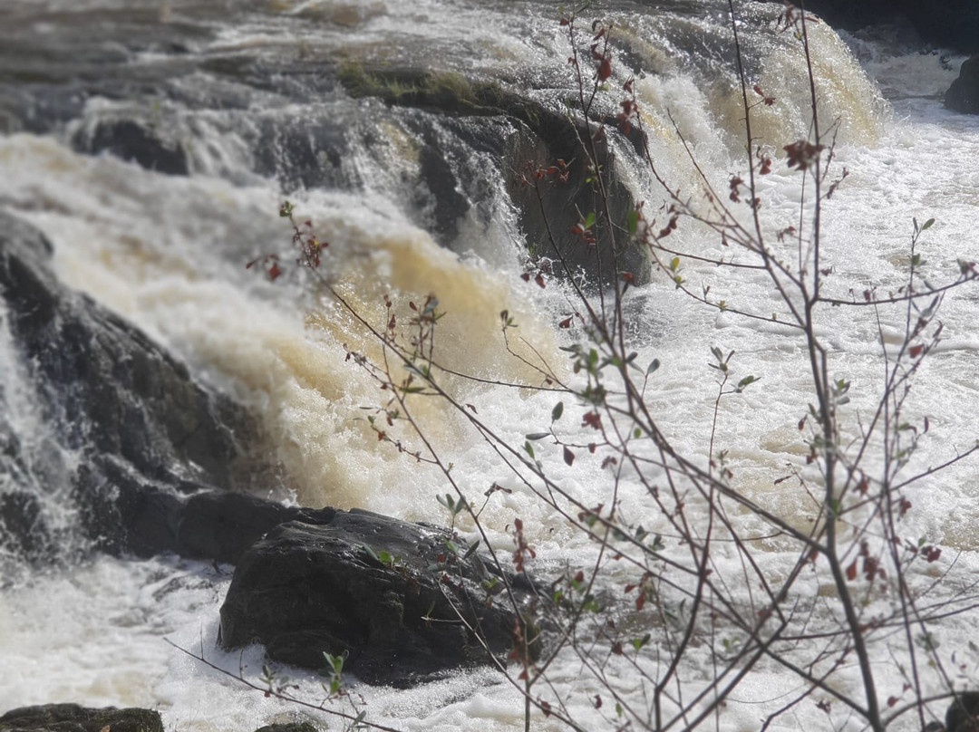Cenarth Falls-Cenarth必去景点