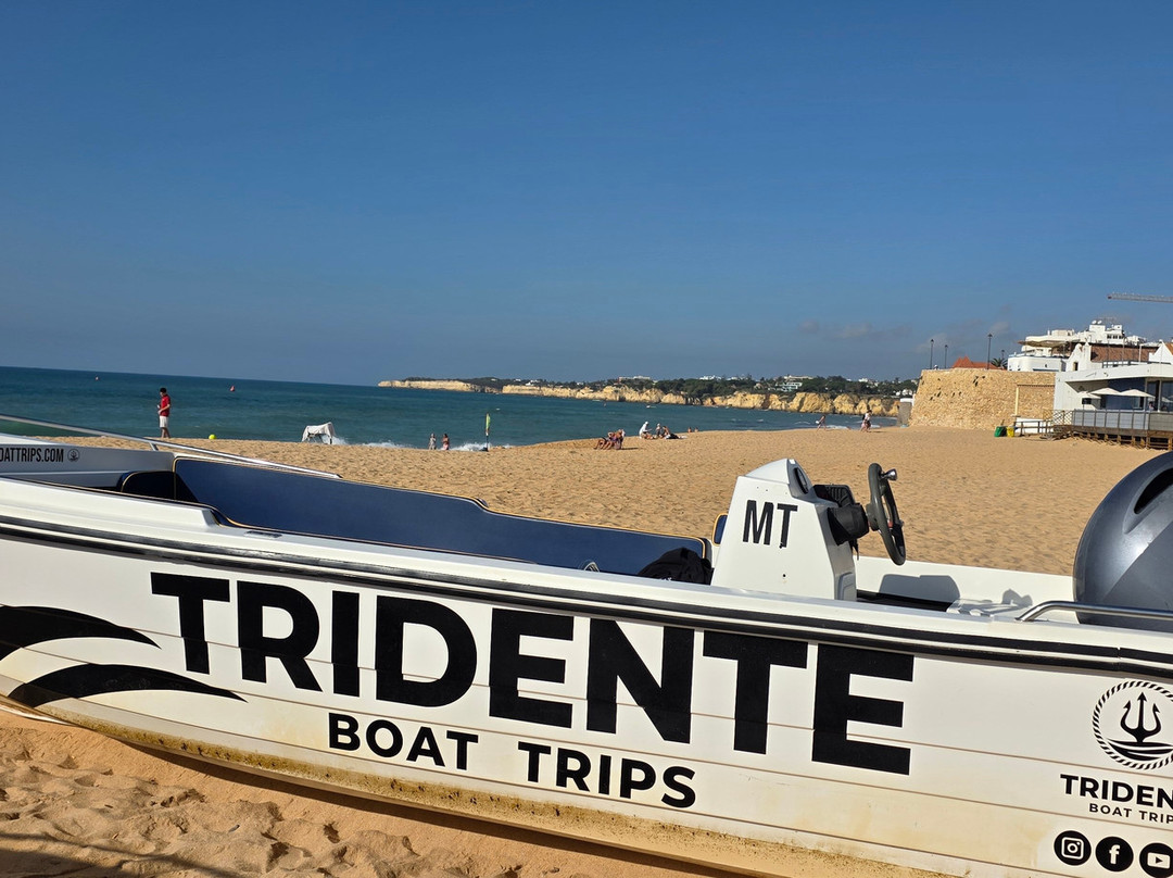 Tridente Boat Trips-阿玛考德佩拉必去景点