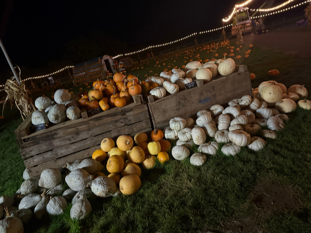 Monk Park Farm-Bagby必去景点