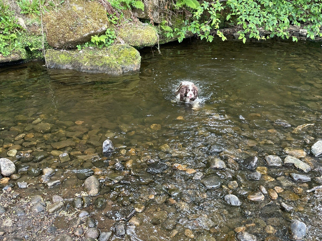 Wycoller Country Park-Colne必去景点