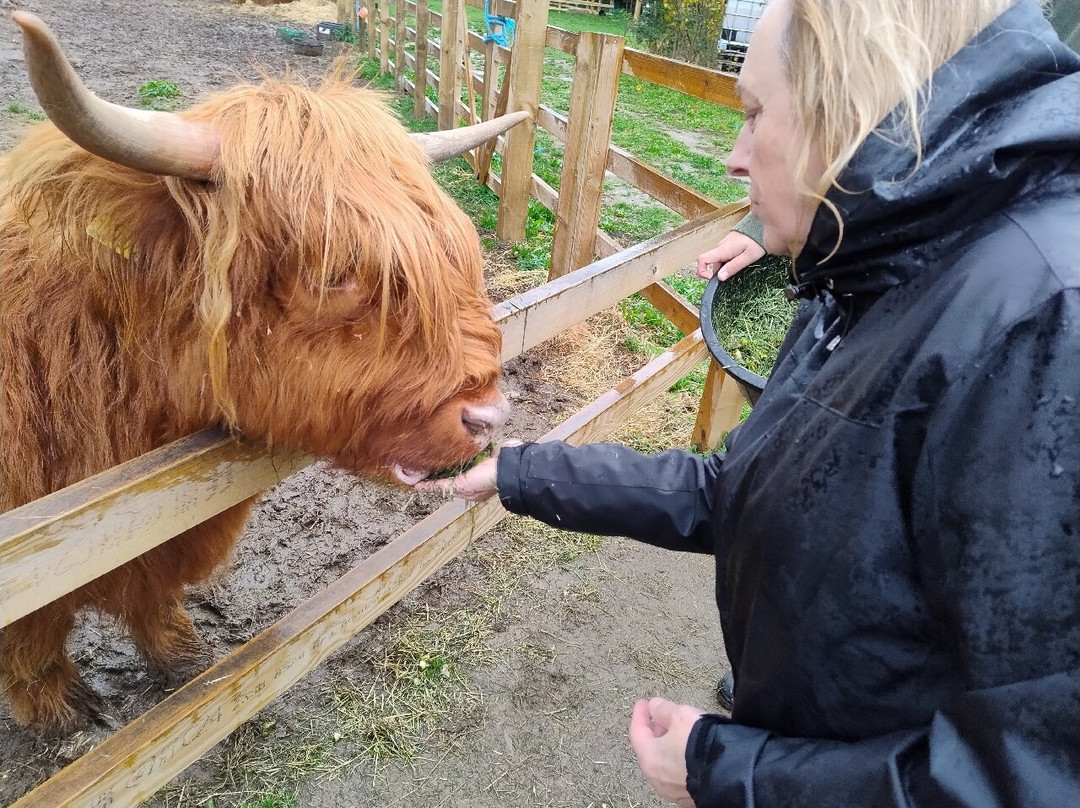 Quex Adventure Farm Park-Birchington必去景点