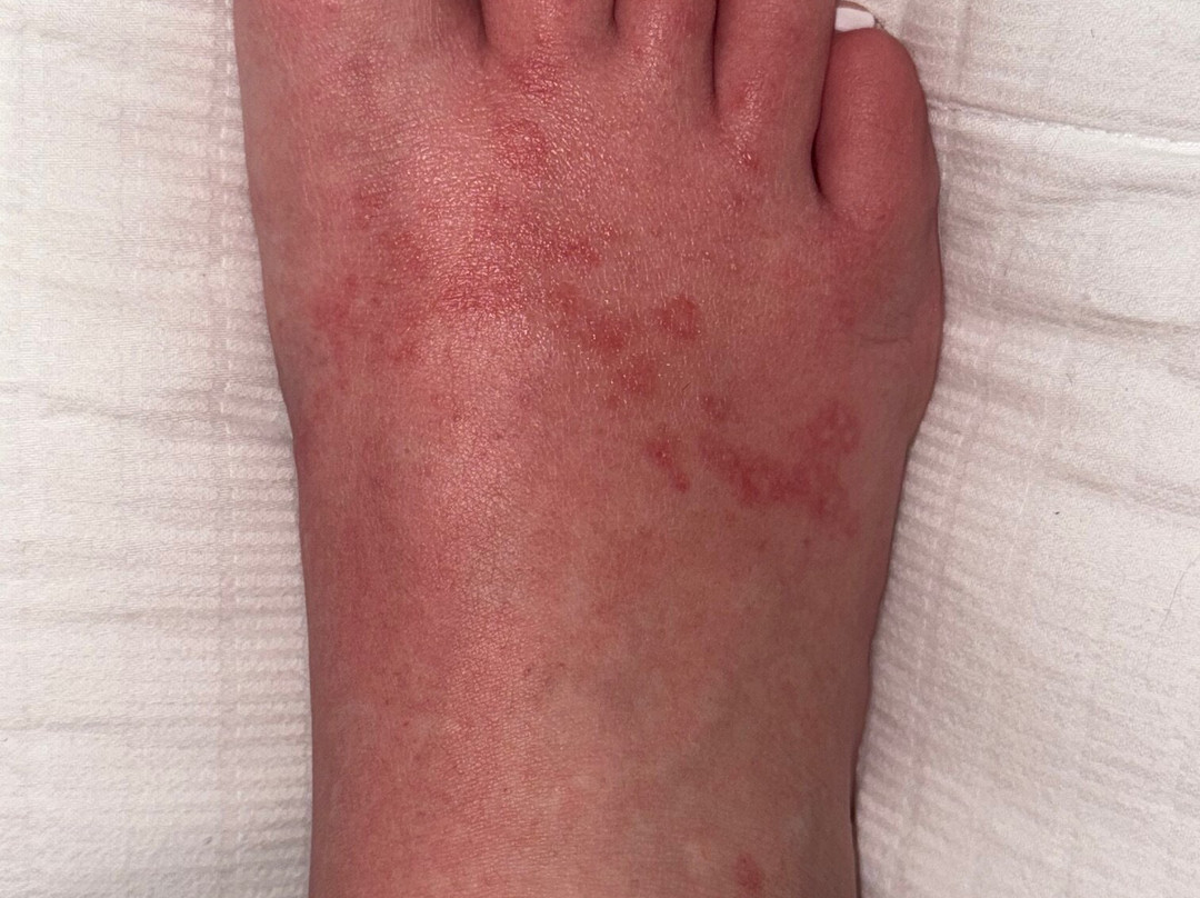 迈阿密戴德兰万怡酒店主图