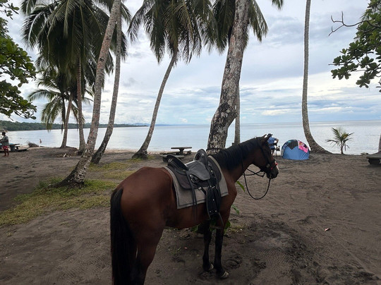 Izzy Rides CR-旧港必去景点