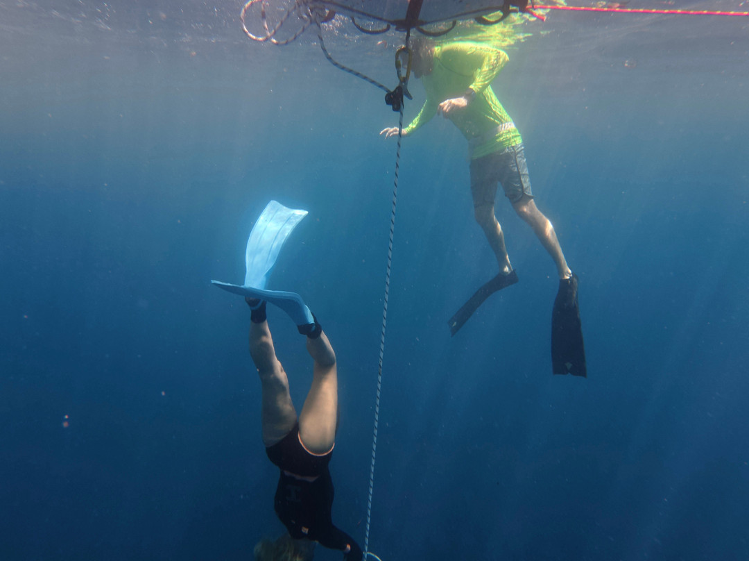 Apnea Center-迪拜必去景点