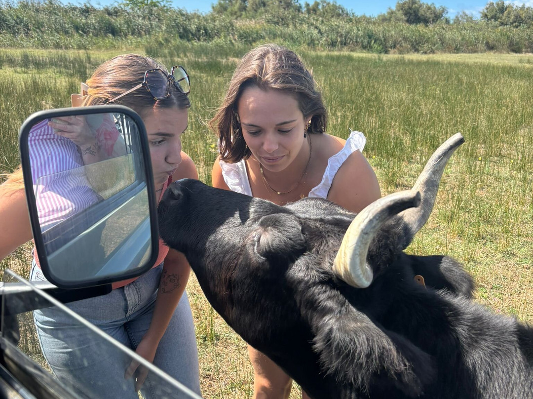La Camargue d’antan-Beauvoisin必去景点