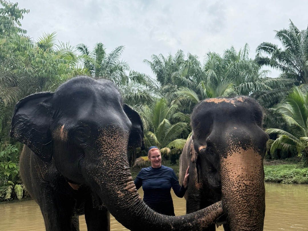 Krabi Elephant Sanctuary-甲米必去景点