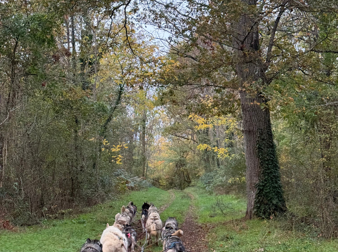 Latitude Nordique-Braslou必去景点