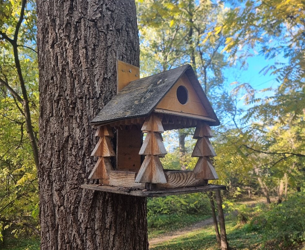 Park of the 30th anniversary of the Victory-克拉斯诺达尔必去景点