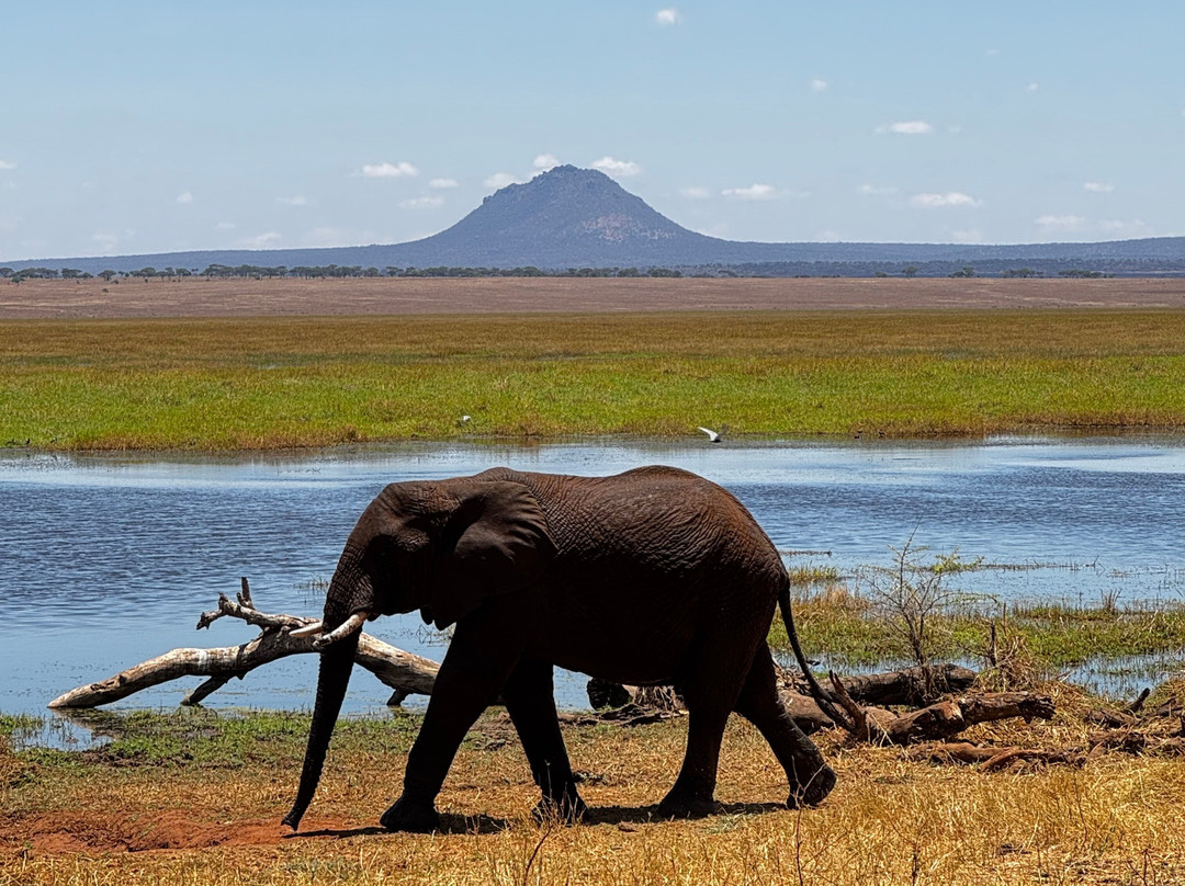 Predators Safari Club-阿鲁沙必去景点