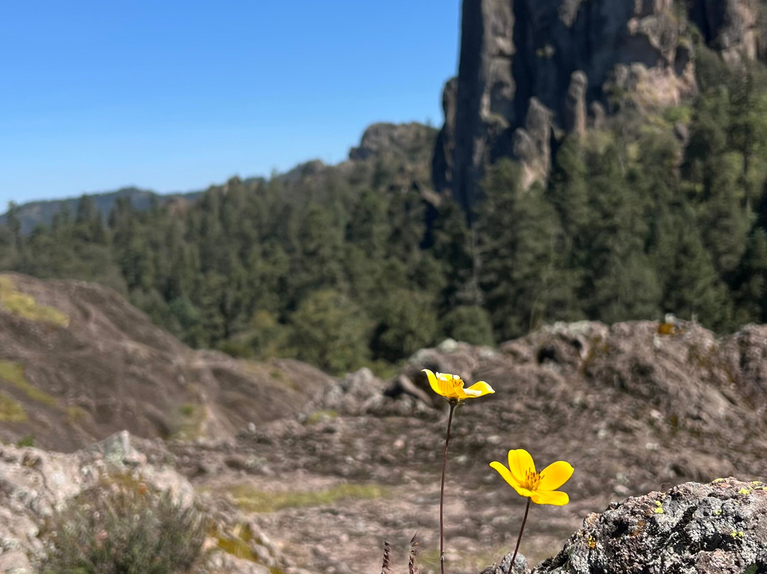 Hawks Adventures-Mineral del Chico必去景点