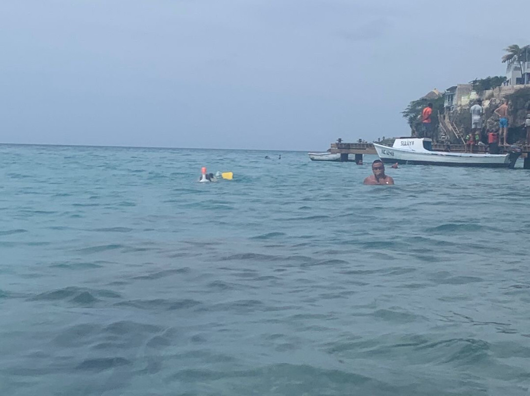 Curacao Taxi Max-威廉斯塔德必去景点