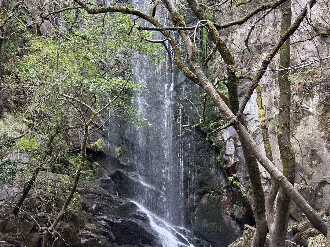 Quinta Sacra-卢戈省必去景点