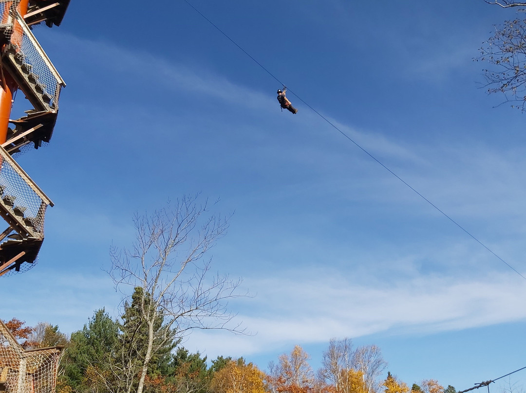 Mountain Pine Adventures-布雷顿角岛必去景点