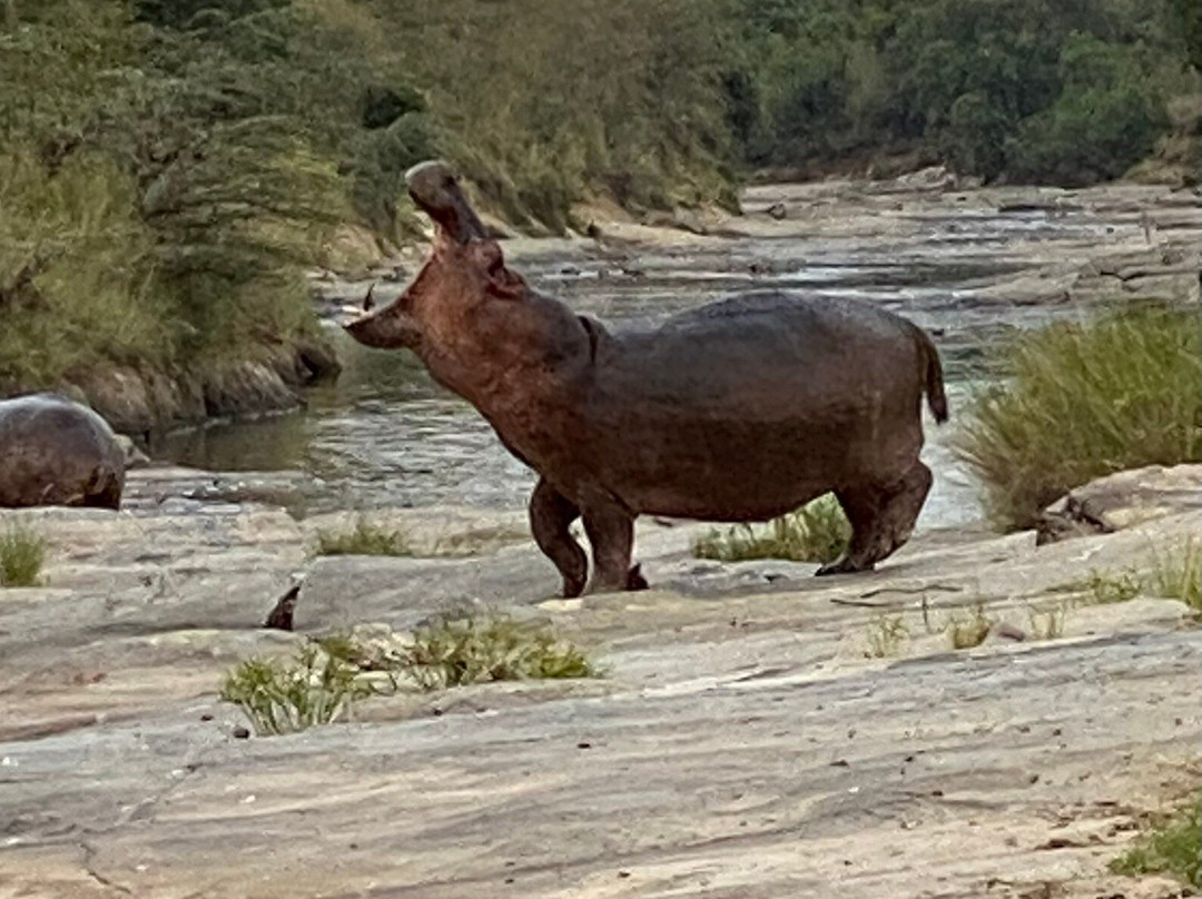 Kampur Travel Diaries-内罗毕必去景点