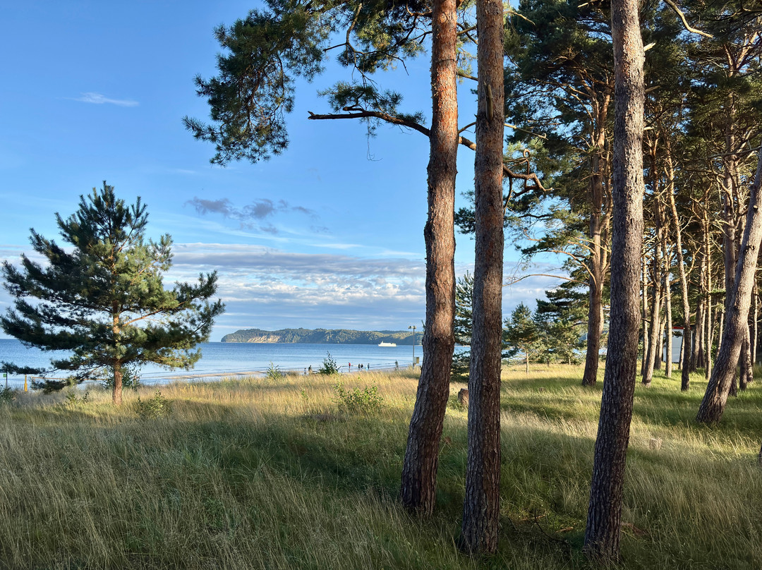 Dorint Seehotel Binz Therme Ruegen主图