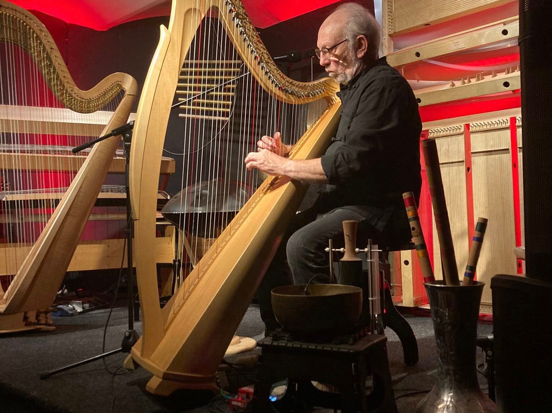 Luc Vanlaere Harpist - Harp Museum-布鲁日必去景点