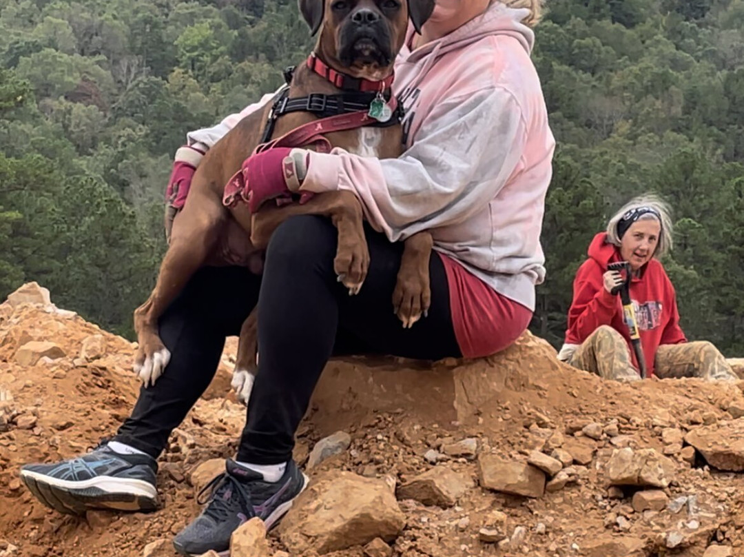 Twin Creek Crystal Mine-Mount Ida必去景点