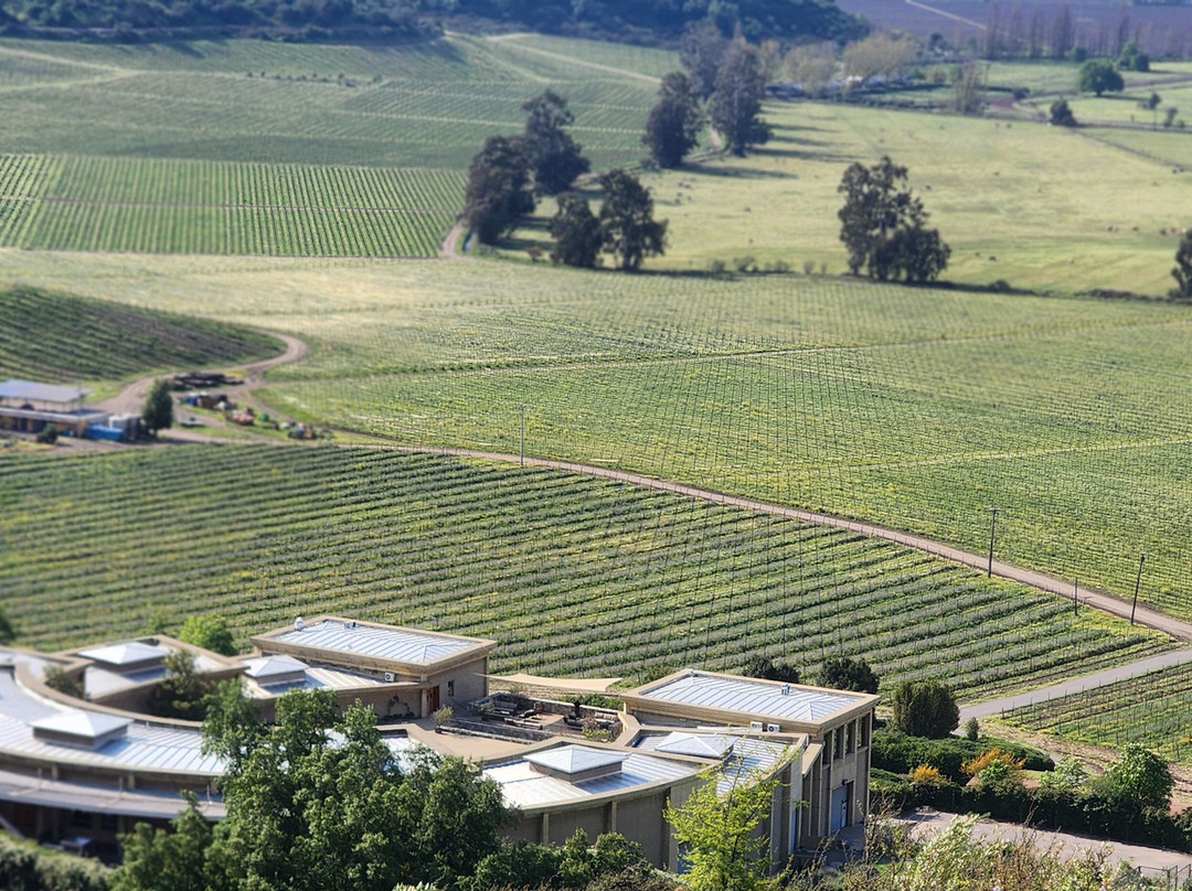 Viña Haras de Pirque-Pirque必去景点