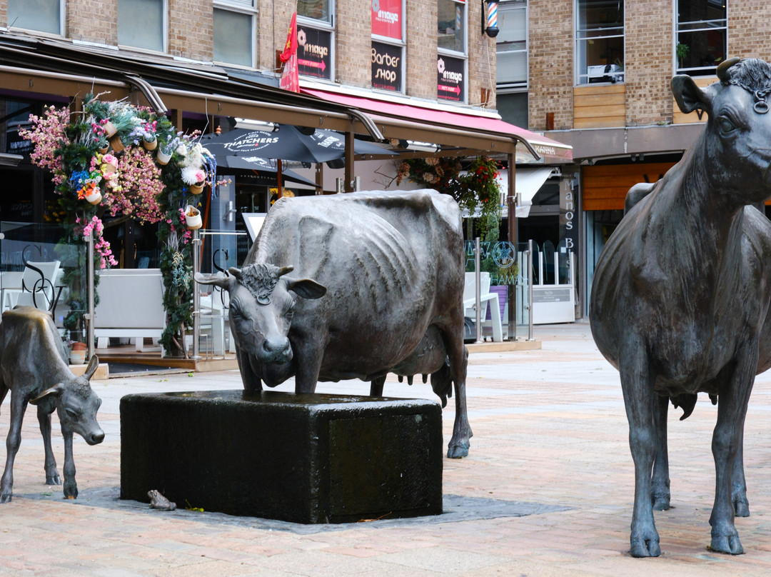 La Vaque de Jerri-St. Helier必去景点