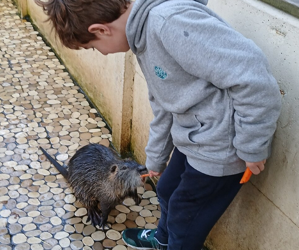 Le Parc Myocastors-Dolus-d'Oleron必去景点