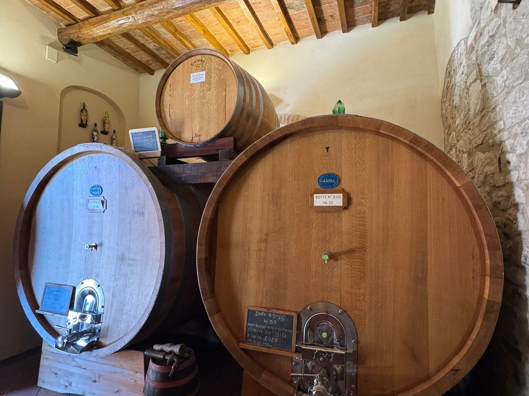 Capitoni Marco Azienda Agraria-皮恩扎必去景点