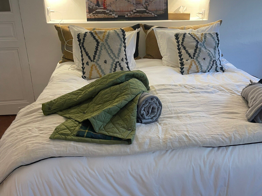 Au Ralenti Du Lierre主图