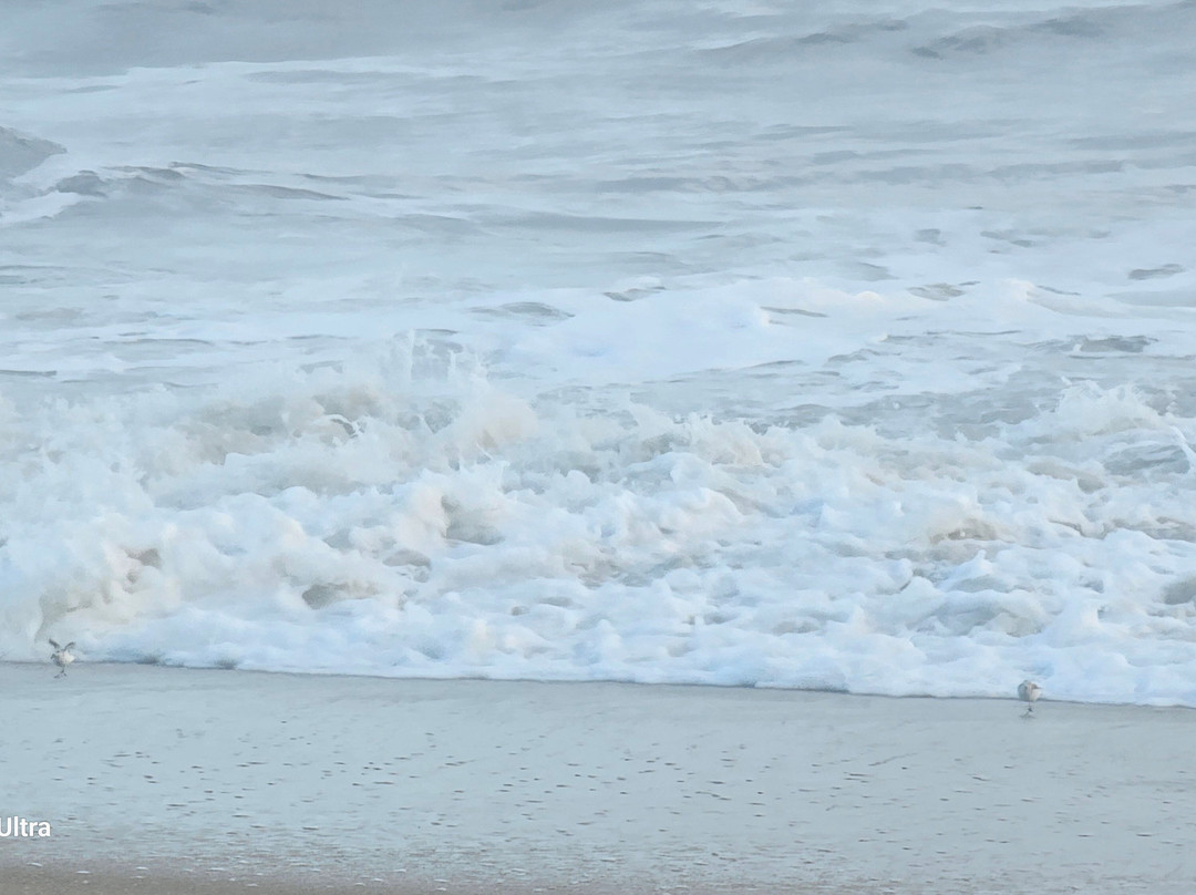 Mariner Inn & Suites主图