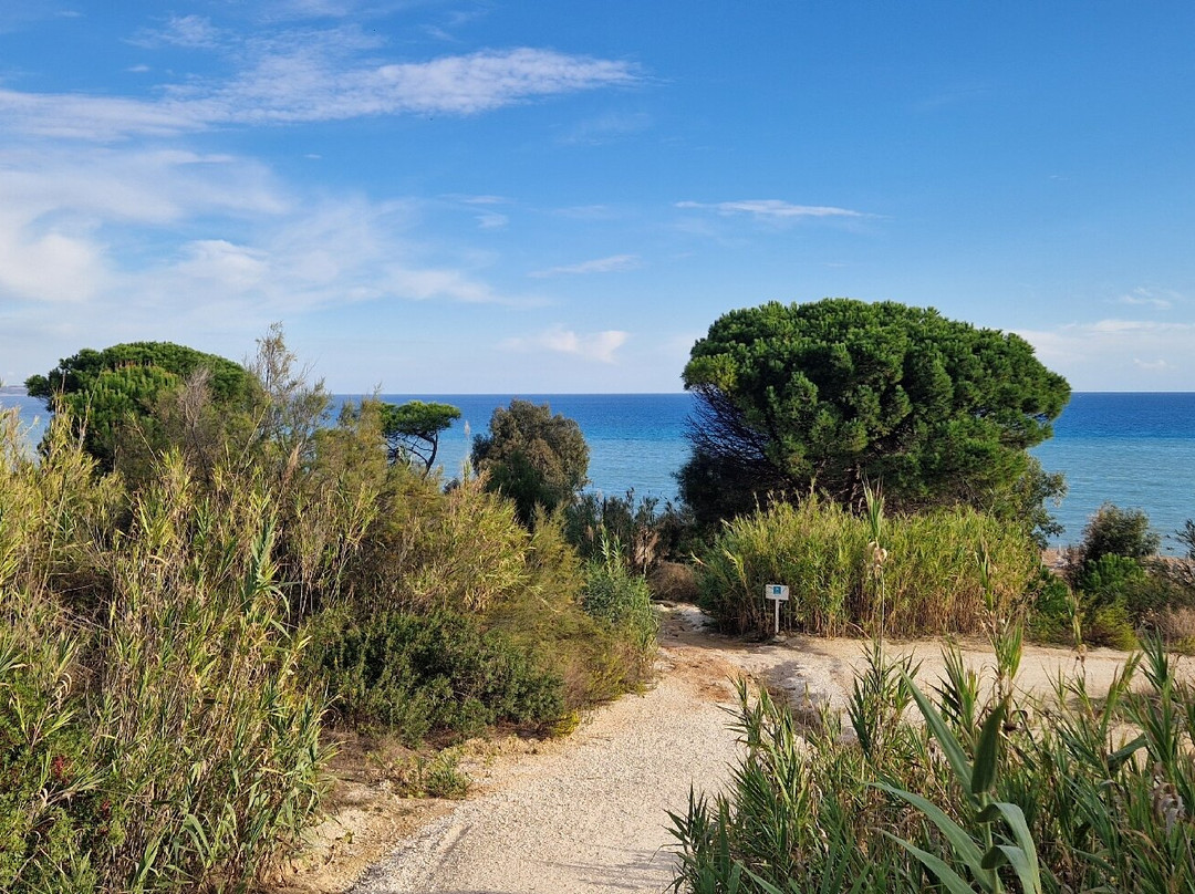 Riserva Naturale Orientata Foce del Fiume Belice e Dune Limitrofe-Castelvetrano必去景点