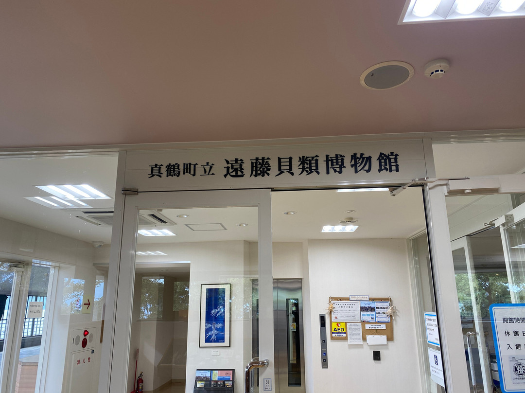 Manazuru Shell Museum-真鹤町必去景点