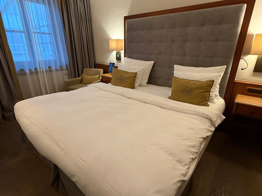 普拉茨尔酒店主图