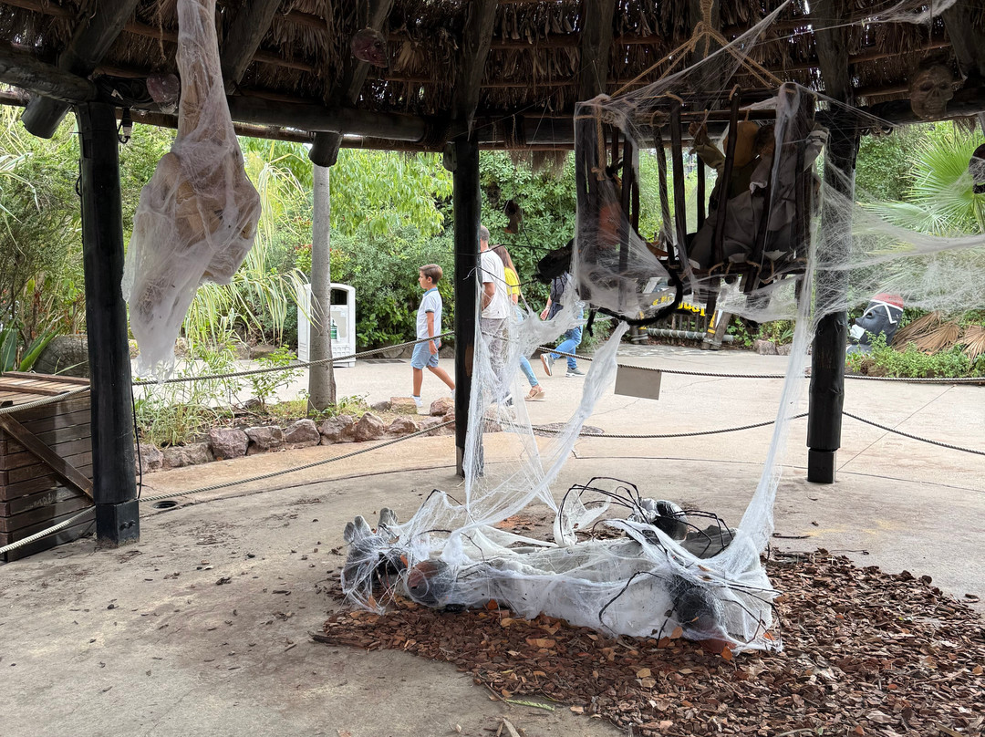 神奇岛公园-塞维利亚必去景点