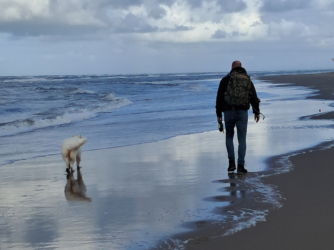 皇宫诺德韦克丽笙布鲁酒店主图