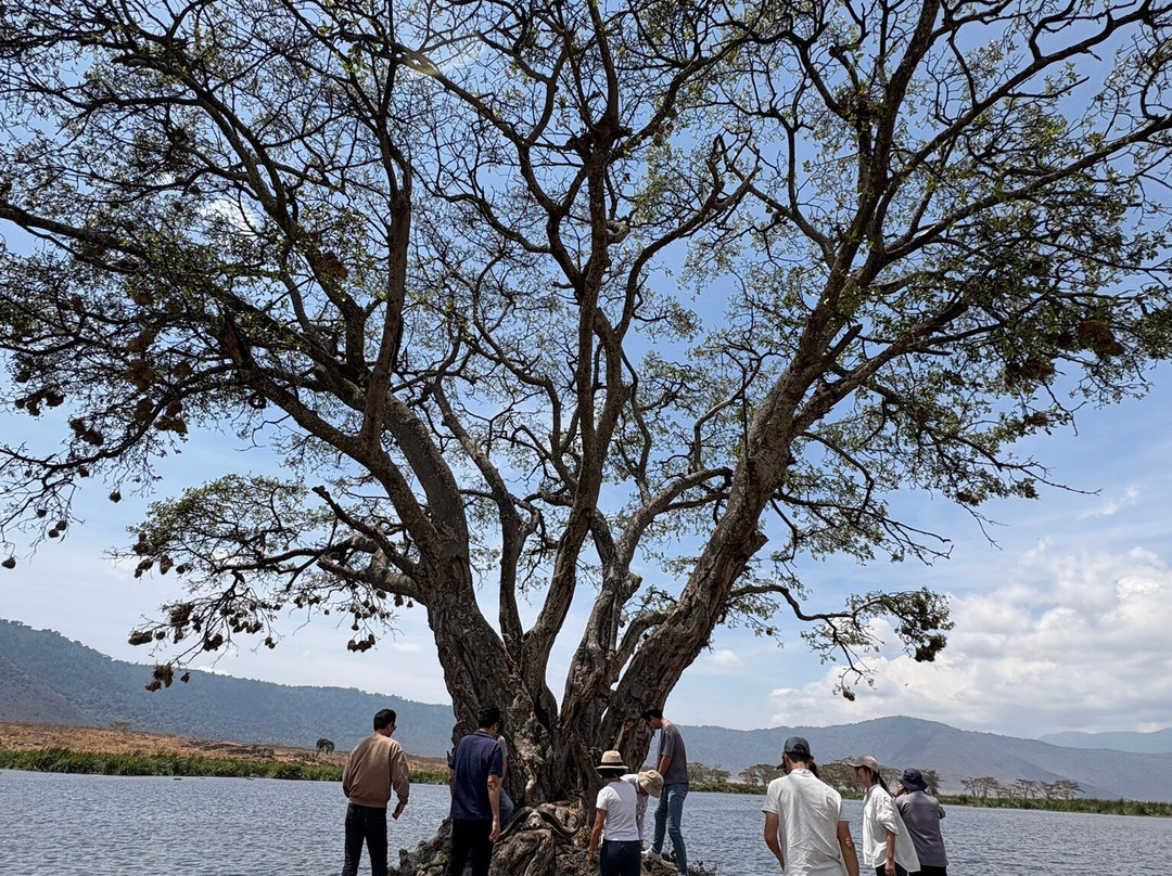 Utopia safaris-阿鲁沙必去景点