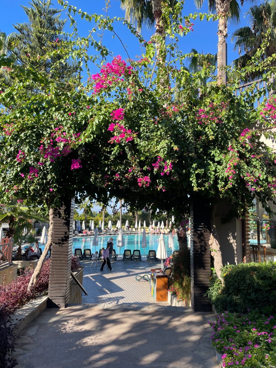 Alba Resort Hotel-官方