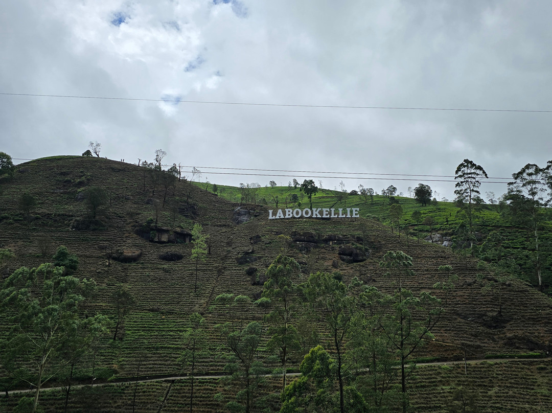 Sri Lanka Driver Tours-Yatiyana必去景点