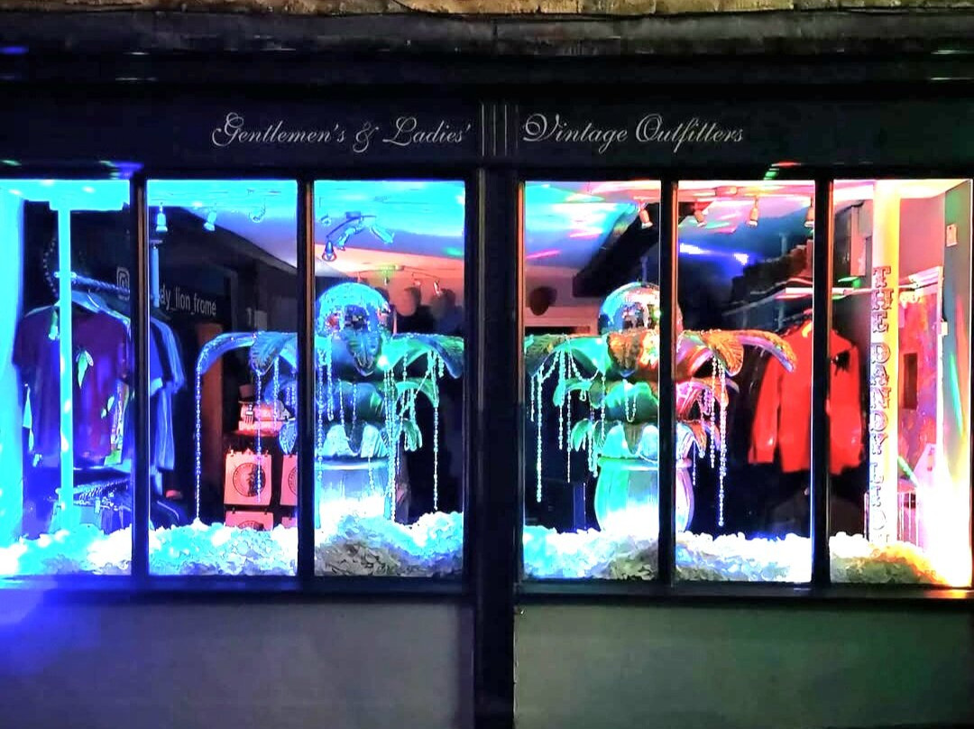 The Dandy Lion-弗罗姆必去景点