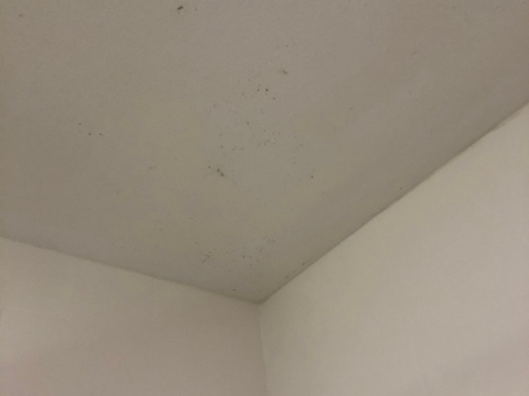 Holiday Inn Express & Suites Dickson By IHG主图