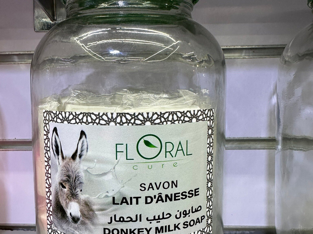 卡萨布兰卡老麦地那-卡萨布兰卡必去景点