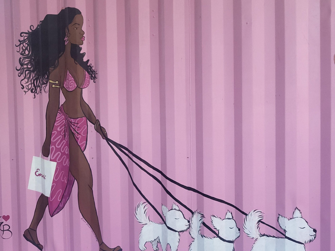 Cane Bay-圣克鲁斯必去景点