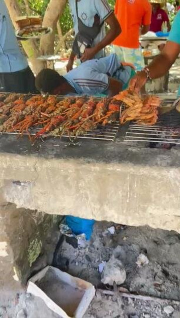 Mastrolindo Escursioni e Safari Kenya-瓦塔木必去景点