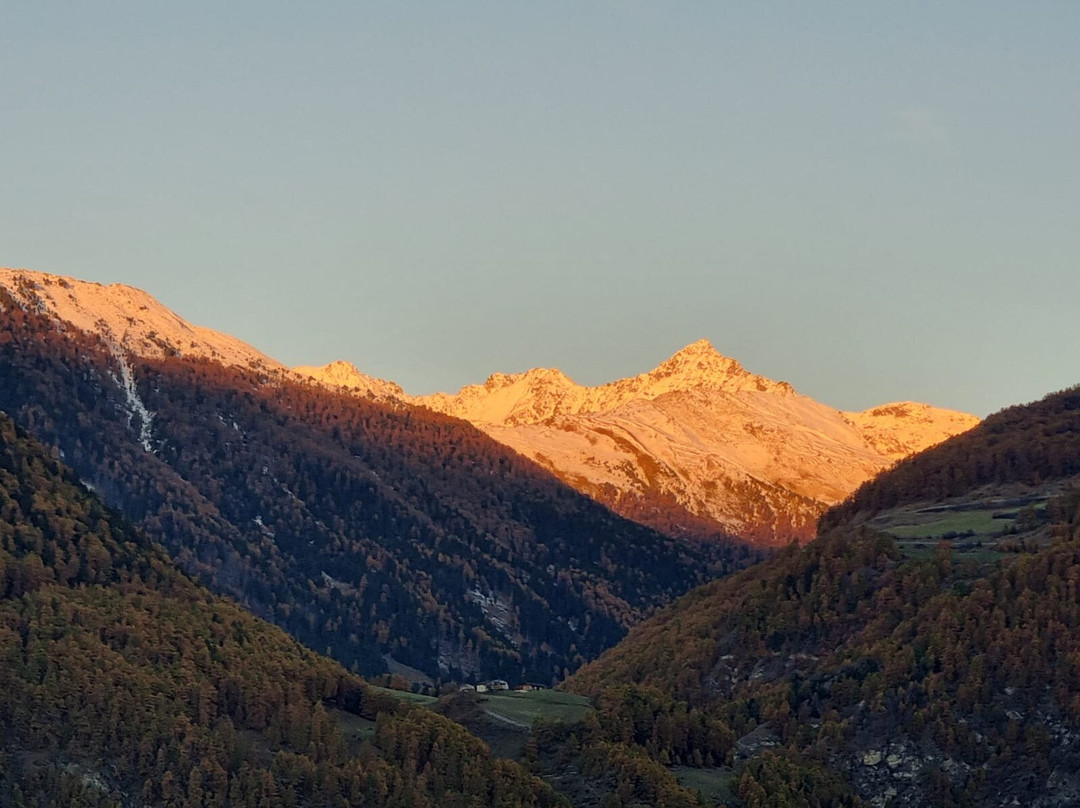 Bio Hotel Panorama主图